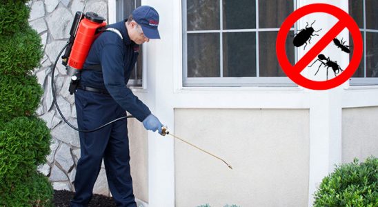 Taşlıçay Hamam Böceği İlaçlama böcek ilaçlama ve haşere kontrolü — ilaclama-tr.com